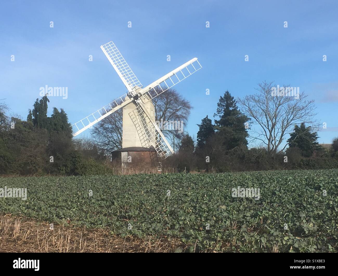 Windmill in Essex countryside. Stock Photo