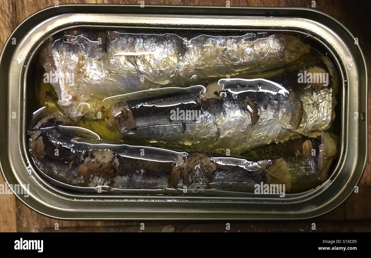 Tin of sardines hires stock photography and images Alamy
