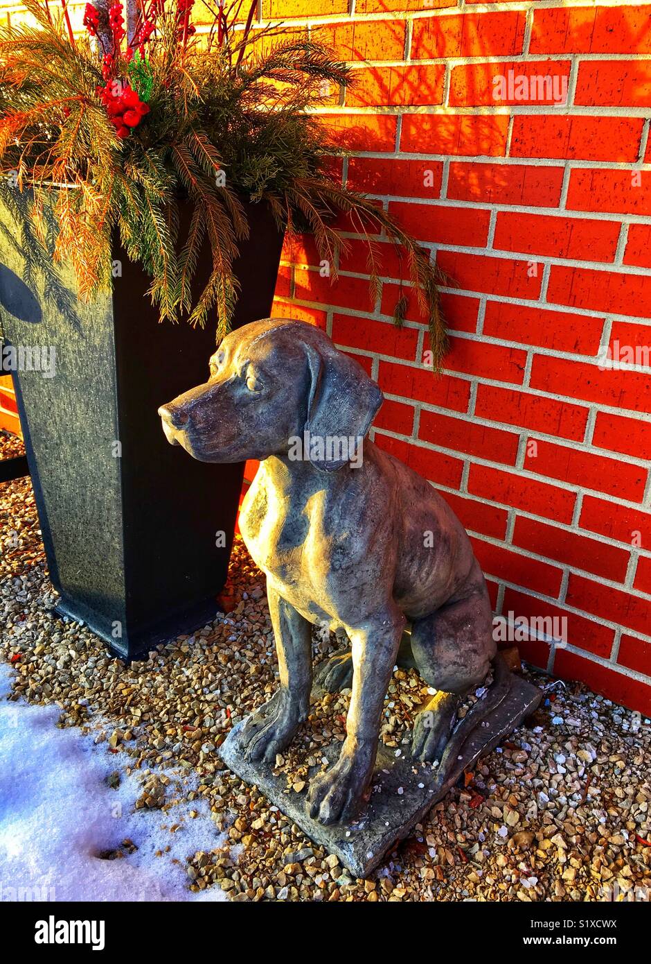 Dog statue at Christmas by evergreen boughs, red berries, snow and brick wall - Smartphone Captured Stock Image