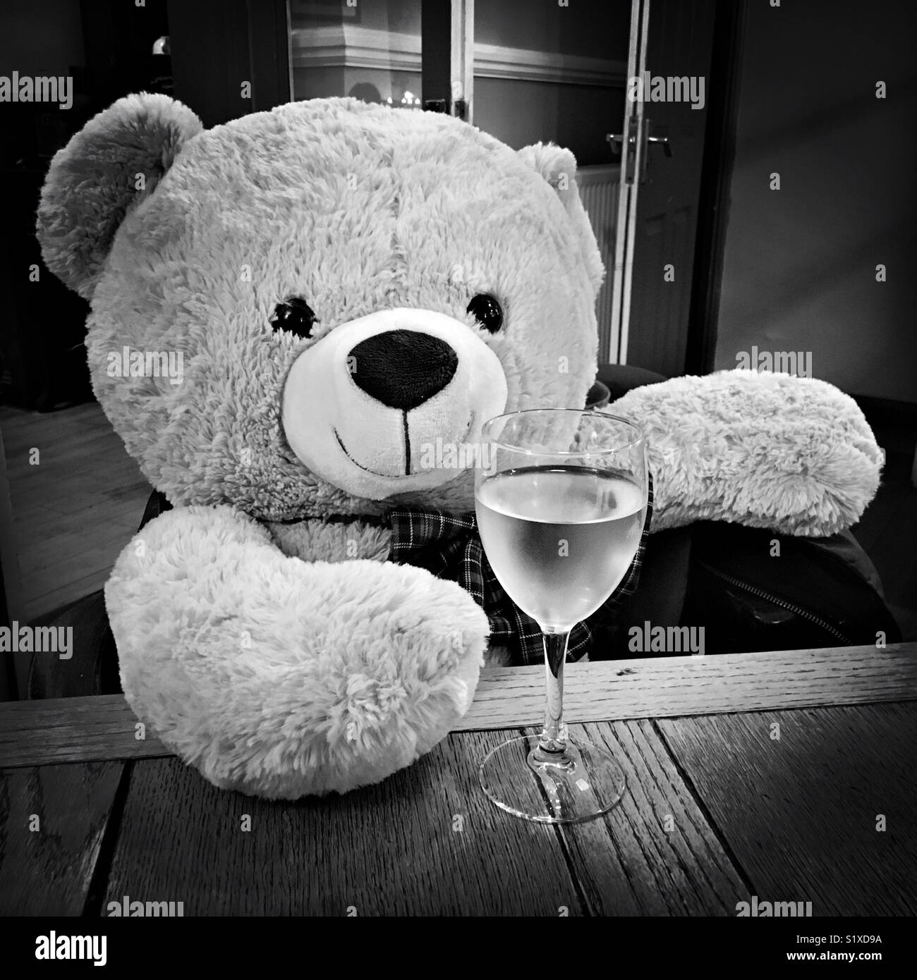 Bear drinking wine in local pub Stock Photo