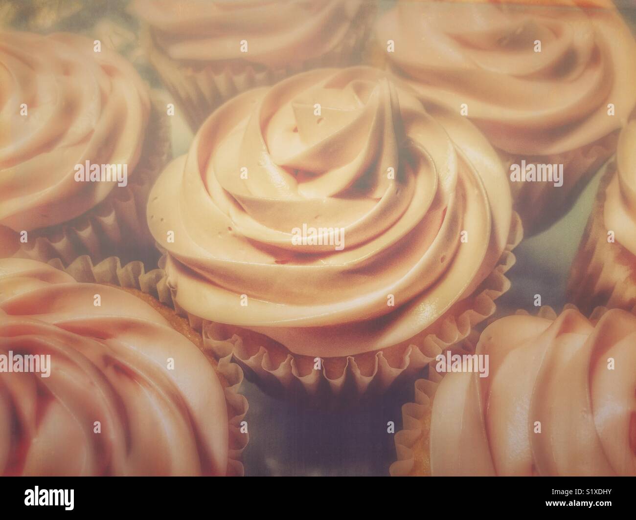 Pink frosted cupcakes - Smartphone Captured Stock Image