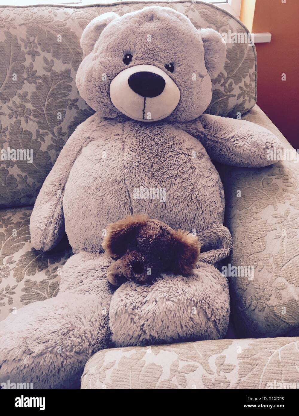 Large teddy bear with small toy dog Stock Photo Alamy