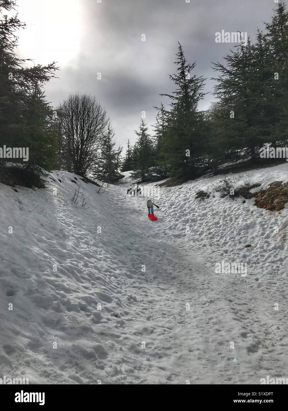 Two adults and a boy playing with the snow in Arz el Barouk reserve Lebanon - Middle East - Smartphone Captured Stock Image