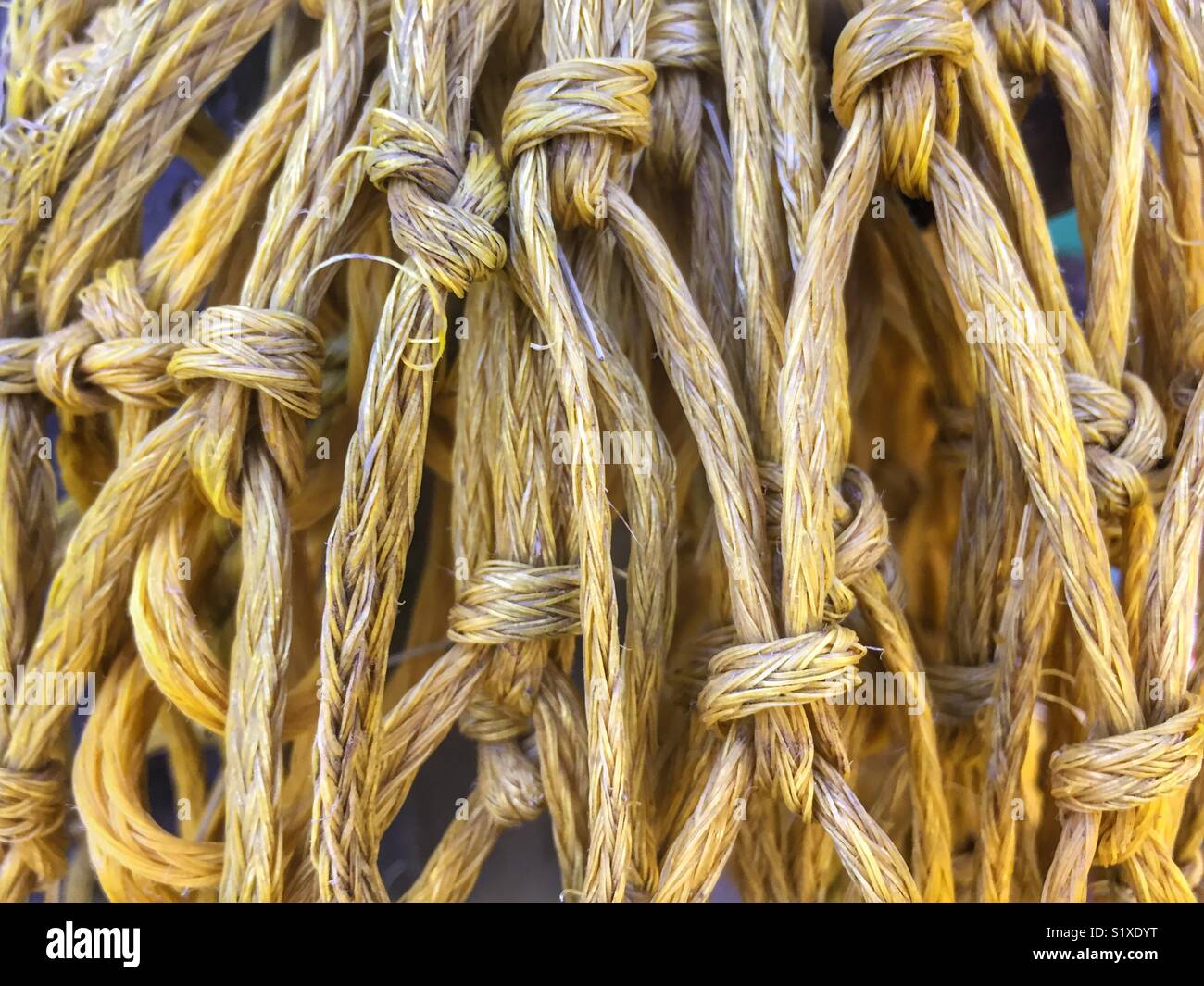 Closeup of knotted yellow rope - Smartphone Captured Stock Image