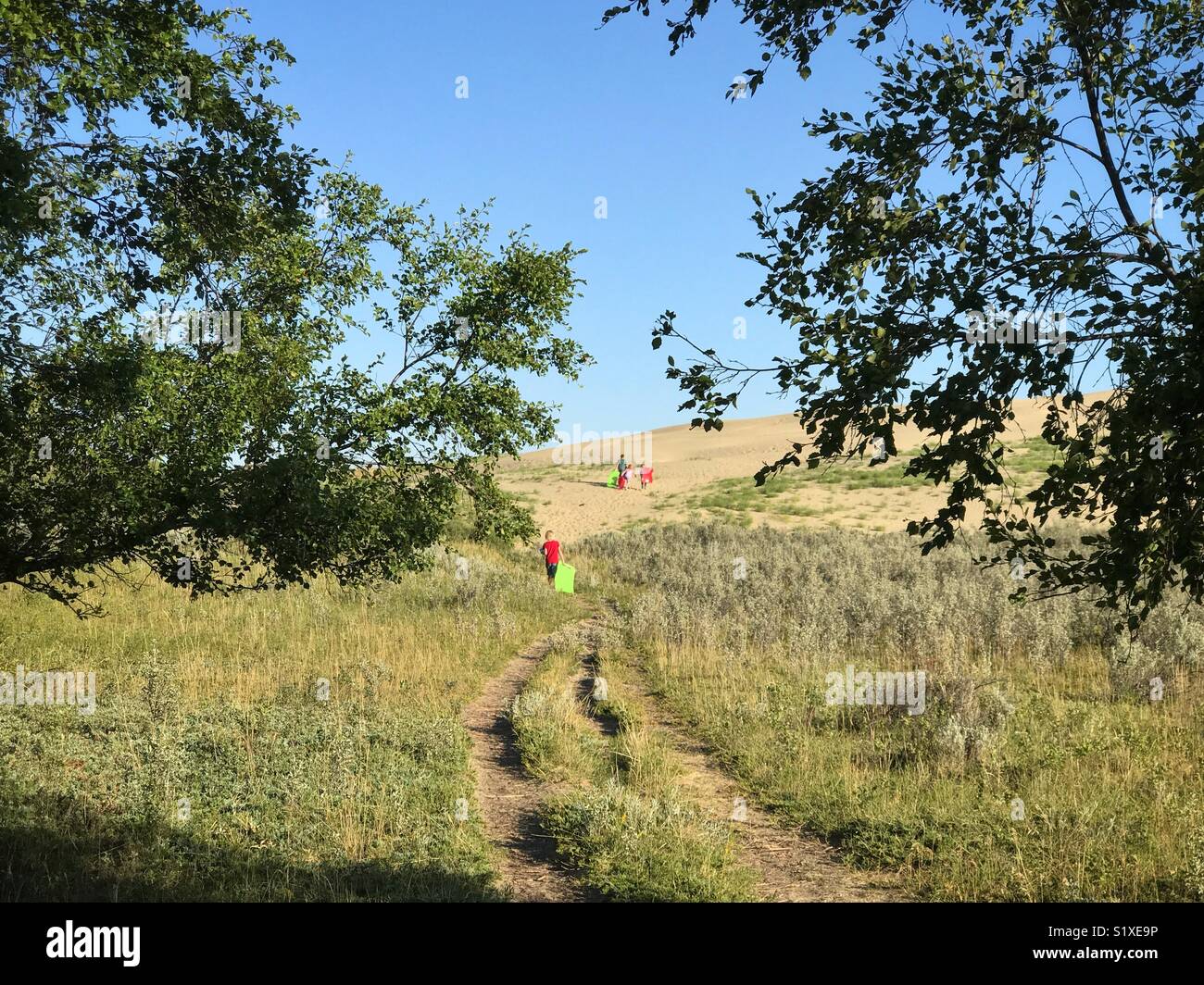 Children dragging sleds hike up a dune. - Smartphone Captured Stock Image