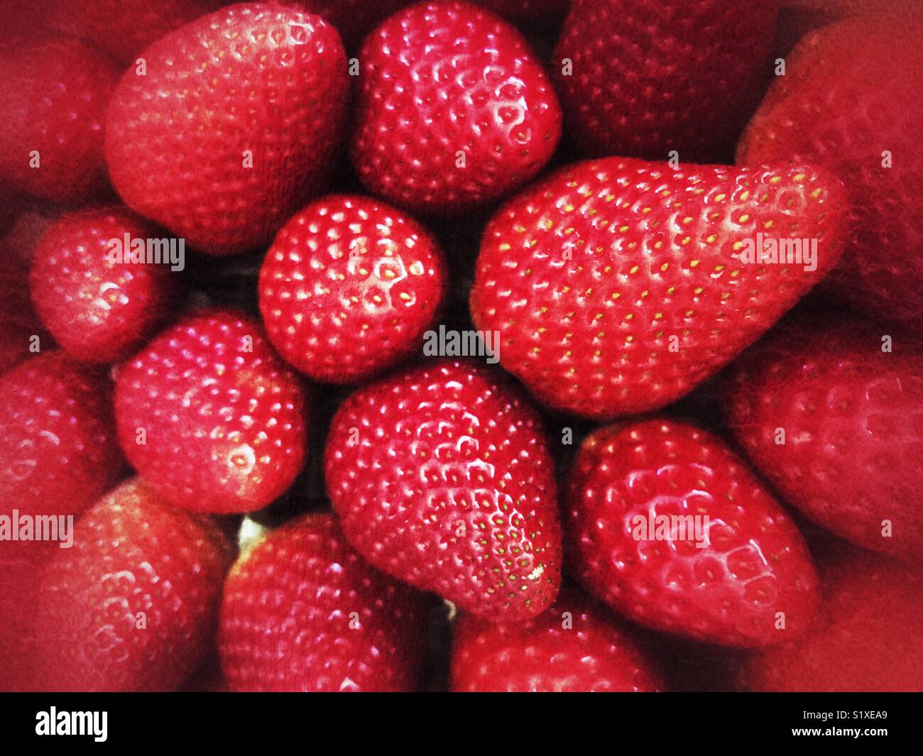 Fresh, juicy, red strawberries - Smartphone Captured Stock Image