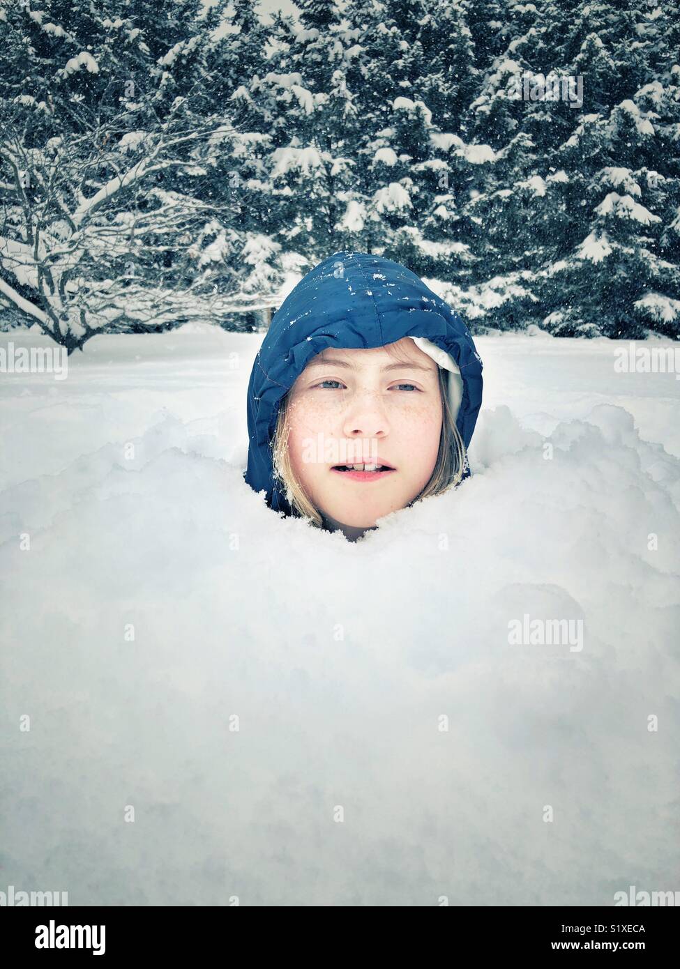 Girl buried in fresh snow with only head showing and snowy trees in background - Smartphone Captured Stock Image
