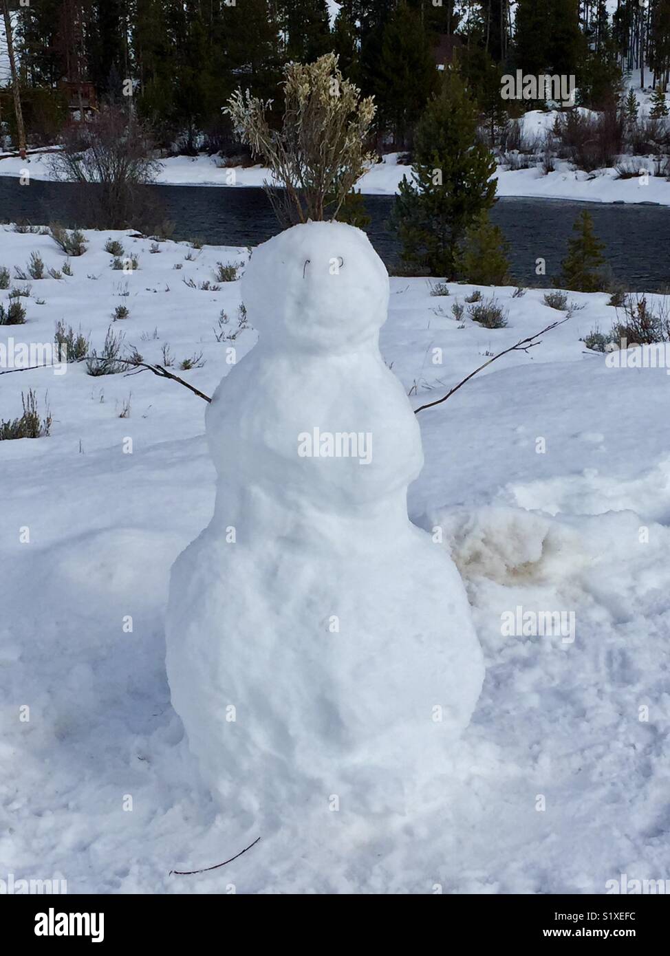 Hi, I’m a snowman! Stock Photo