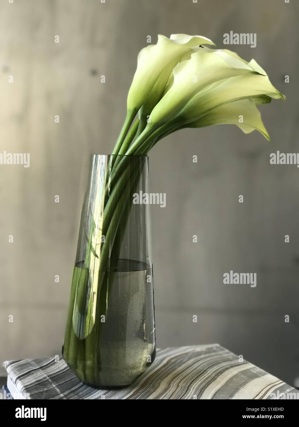 Lilies in vase Stock Photo Alamy