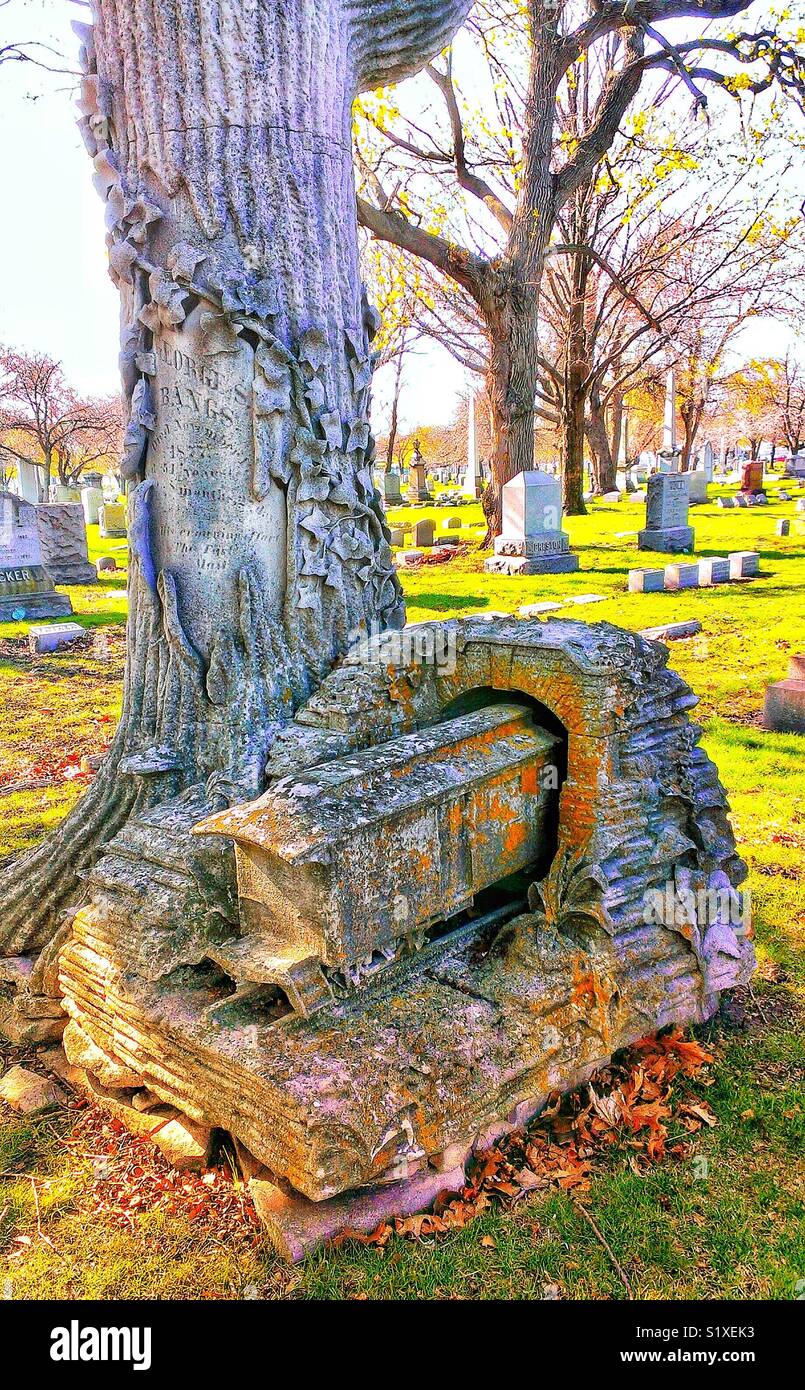 Tree trunk, railroad and tunnel monument to George Bangs, inventor of railroad mail cars, Rosehill Cemetery, Chicago, Ill - Smartphone Captured Stock Image
