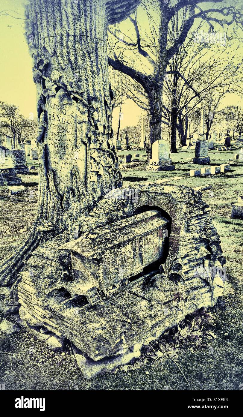 Tree trunk, railroad and tunnel monument to George Bangs, inventor of railroad mail cars, Rosehill Cemetery, Chicago, Ill - Smartphone Captured Stock Image