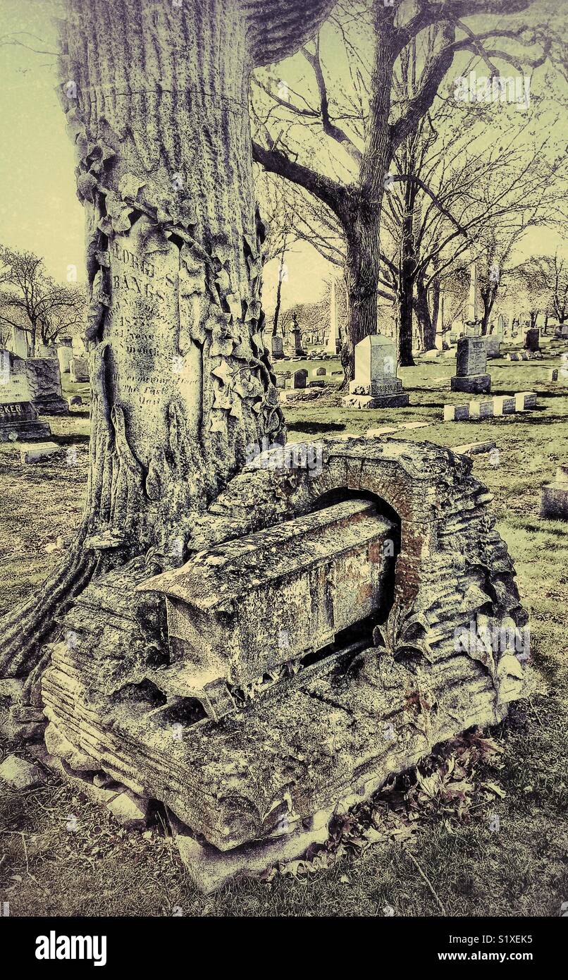 Tree trunk, railroad and tunnel monument to George Bangs, inventor of railroad mail cars, Rosehill Cemetery, Chicago, Ill - Smartphone Captured Stock Image