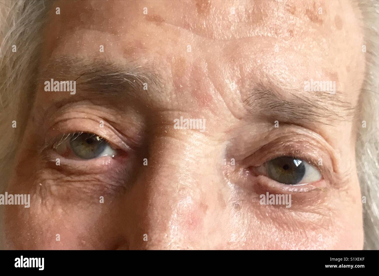 Elderly woman's eyes.  Close view. - Smartphone Captured Stock Image