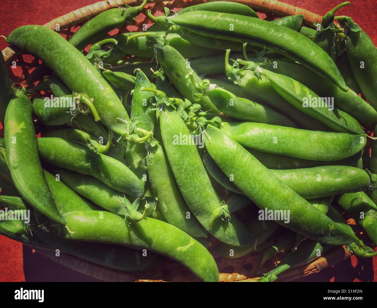 Fresh picked garden peas in a basket Stock Photo
