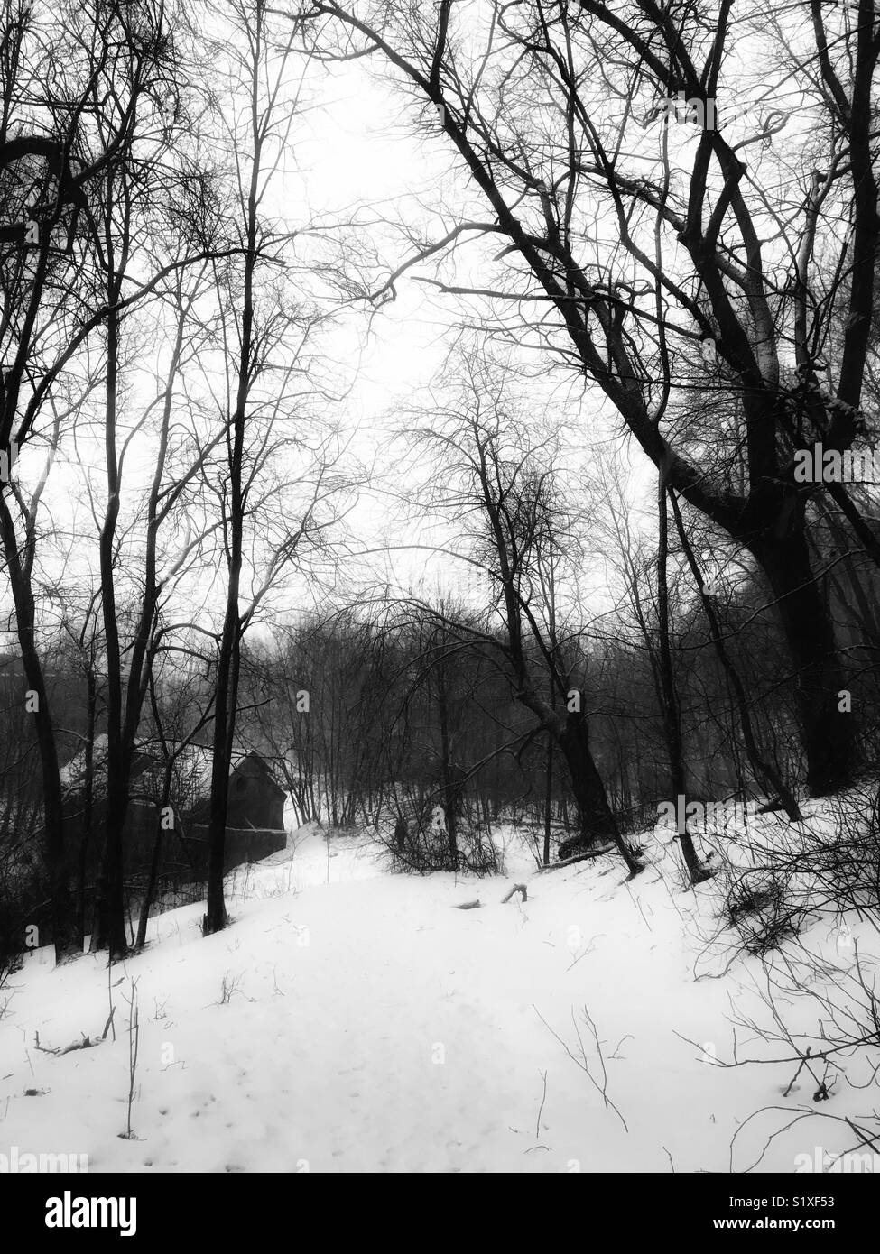 Winter landscape Black and White Stock Photos & Images - Alamy