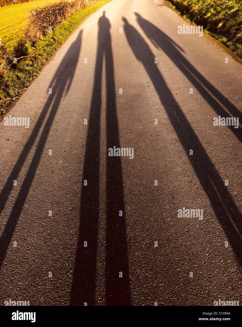 Shadows of four walkers on the road during Winter - Smartphone Captured Stock Image