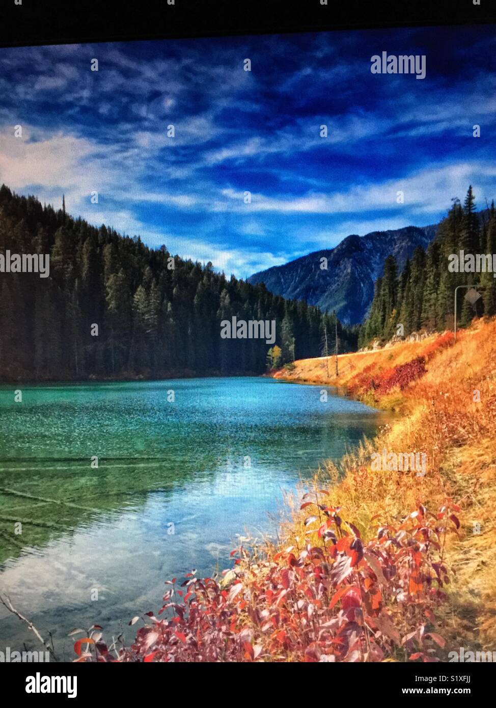Olive Lake, Kootenay National Park, British Columbia, B.C. Canada - Smartphone Captured Stock Image