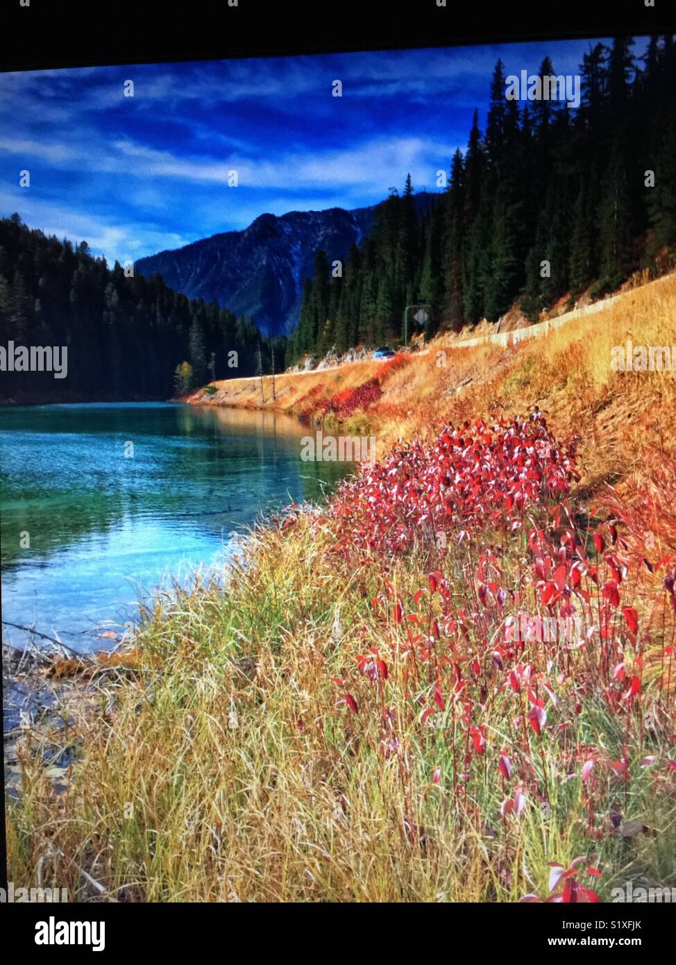 Olive Lake, Kootenay National Park, British Columbia, B.C. Canada - Smartphone Captured Stock Image