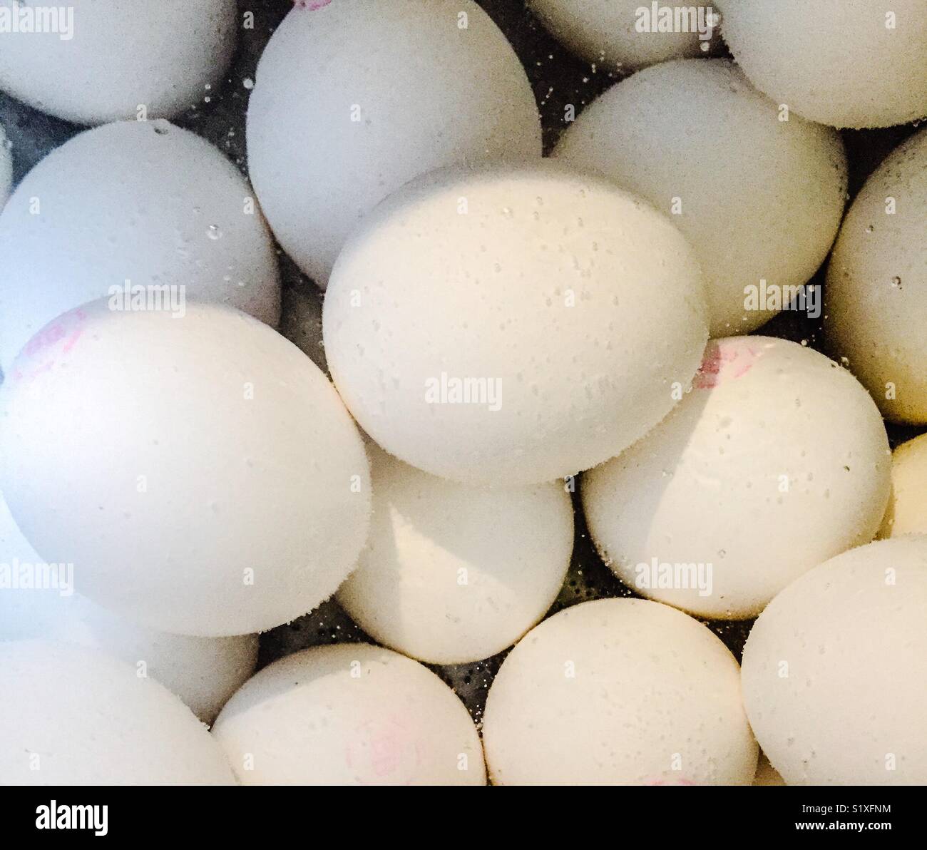 Boiling eggs Stock Photo