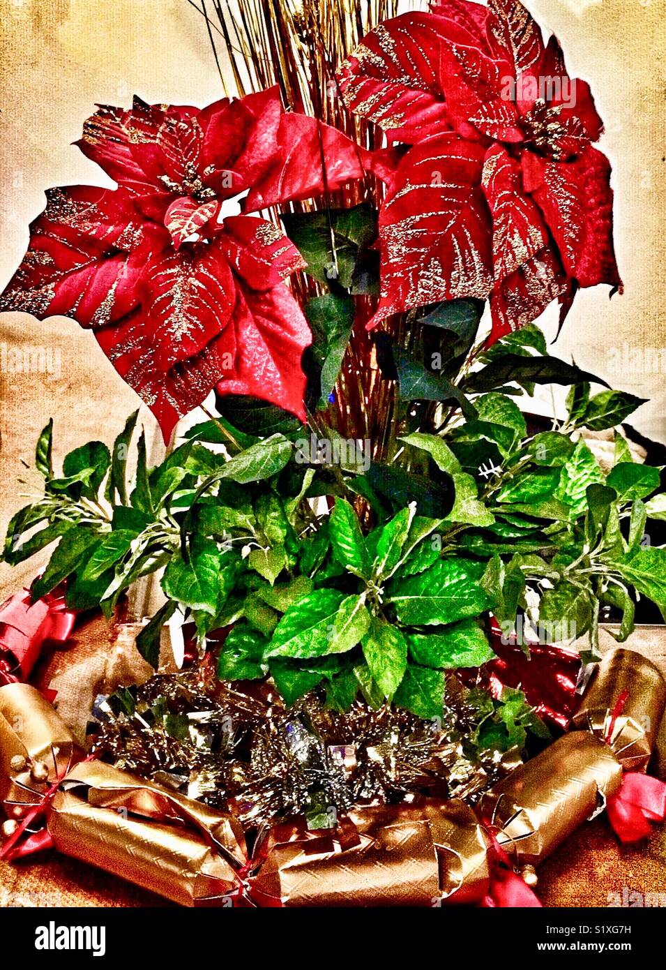 Red poinsettia with gold glitter and accents at an Asian bistro - Smartphone Captured Stock Image