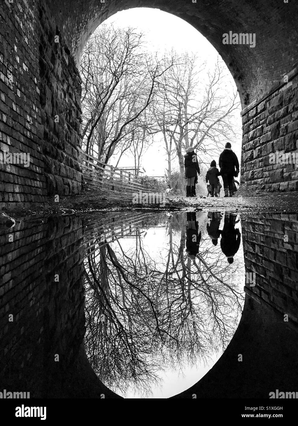 Reflections in a puddle hi-res stock photography and images - Alamy