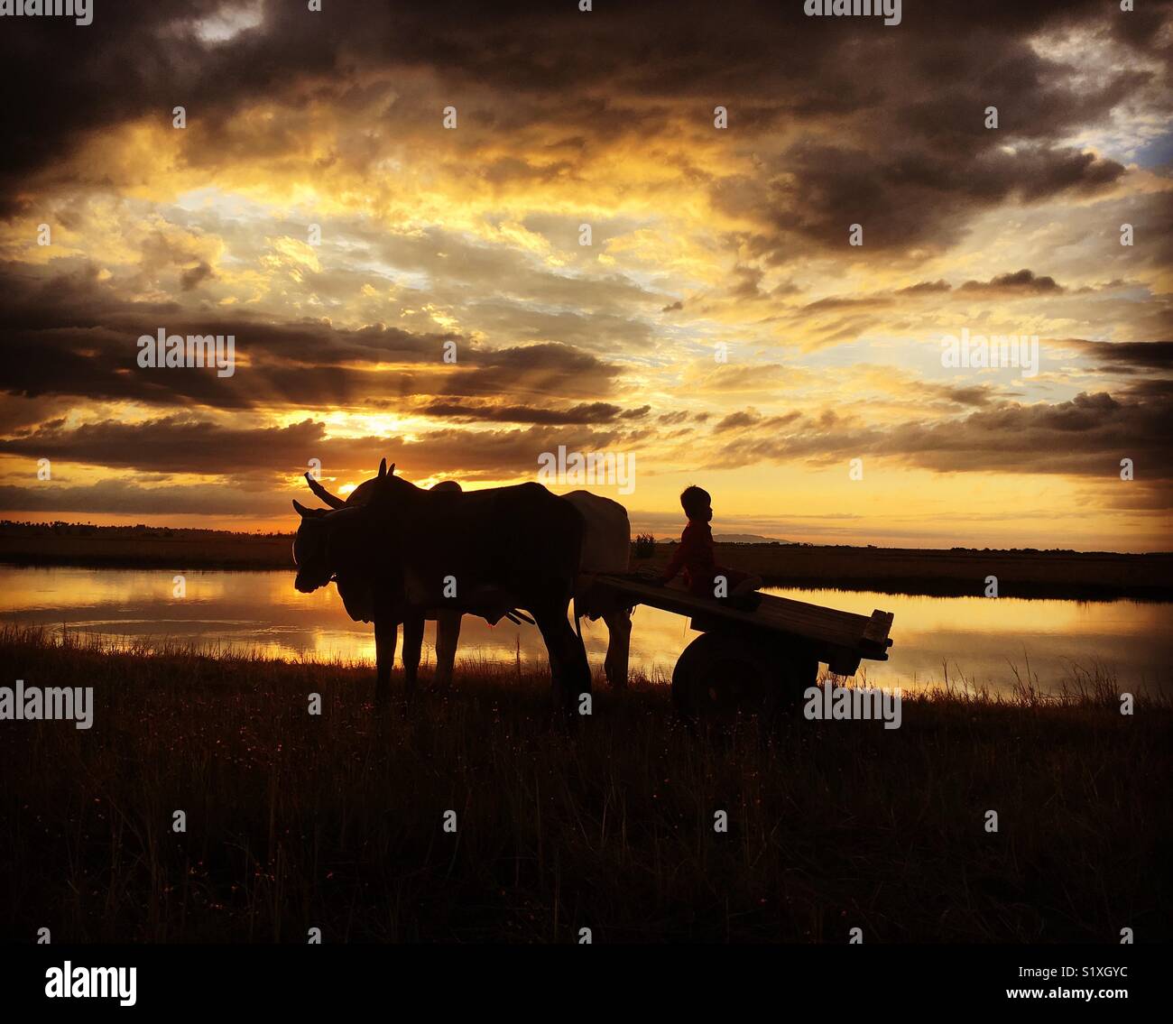 Rural life in Cambodia Stock Photo Alamy