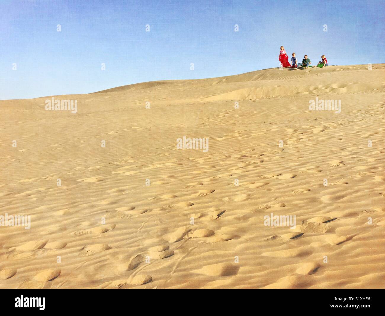 Four children atop a sand dune prepare to slide down using plastic sleds. - Smartphone Captured Stock Image