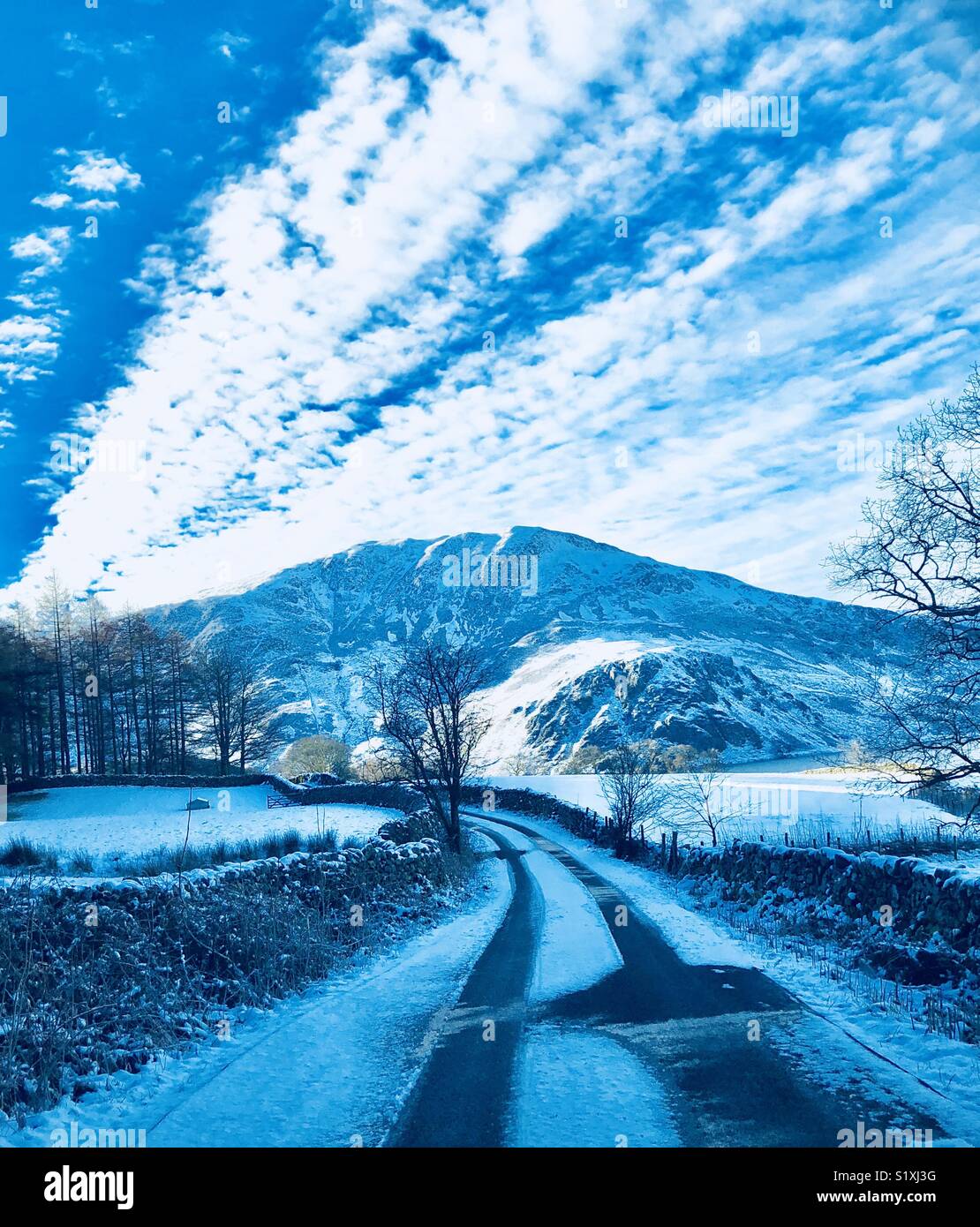 The road home Stock Photo Alamy