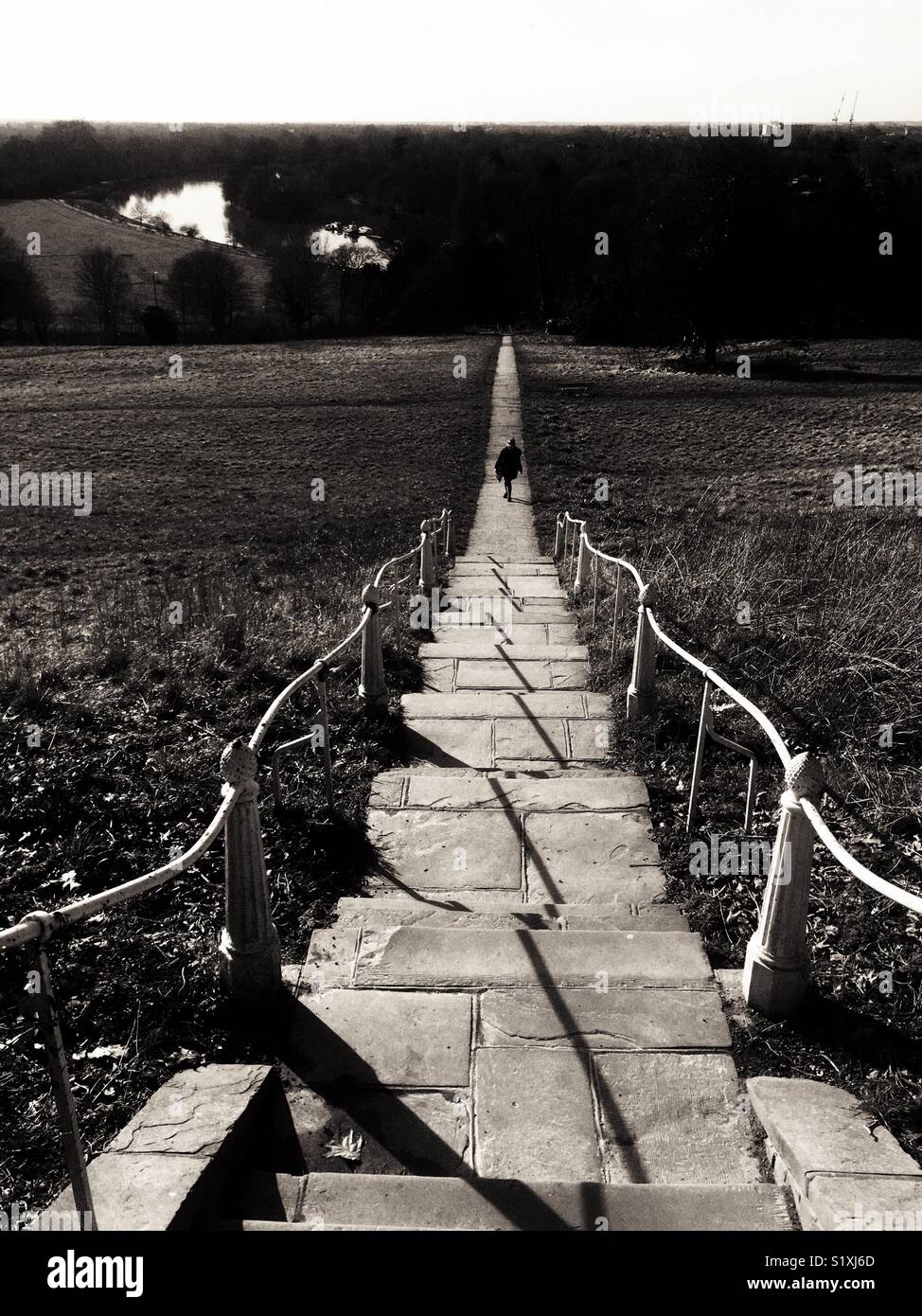 Person walking on a path on Richmond Hill In London England - Smartphone Captured Stock Image