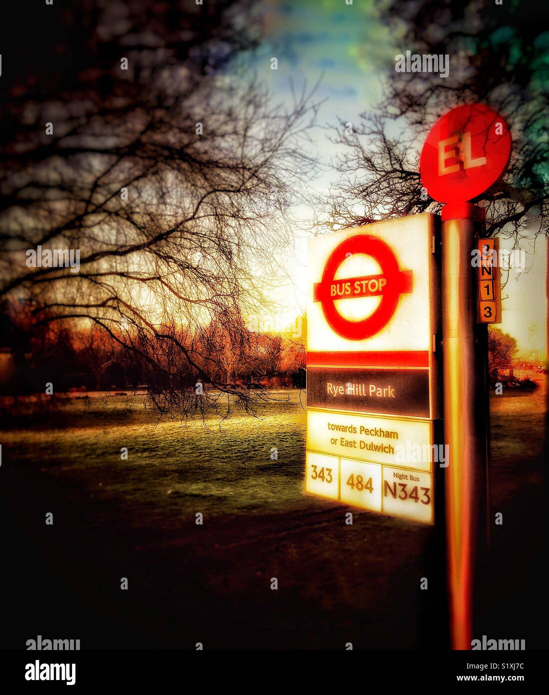 Bus stop at Peckham Rye Stock Photo Alamy