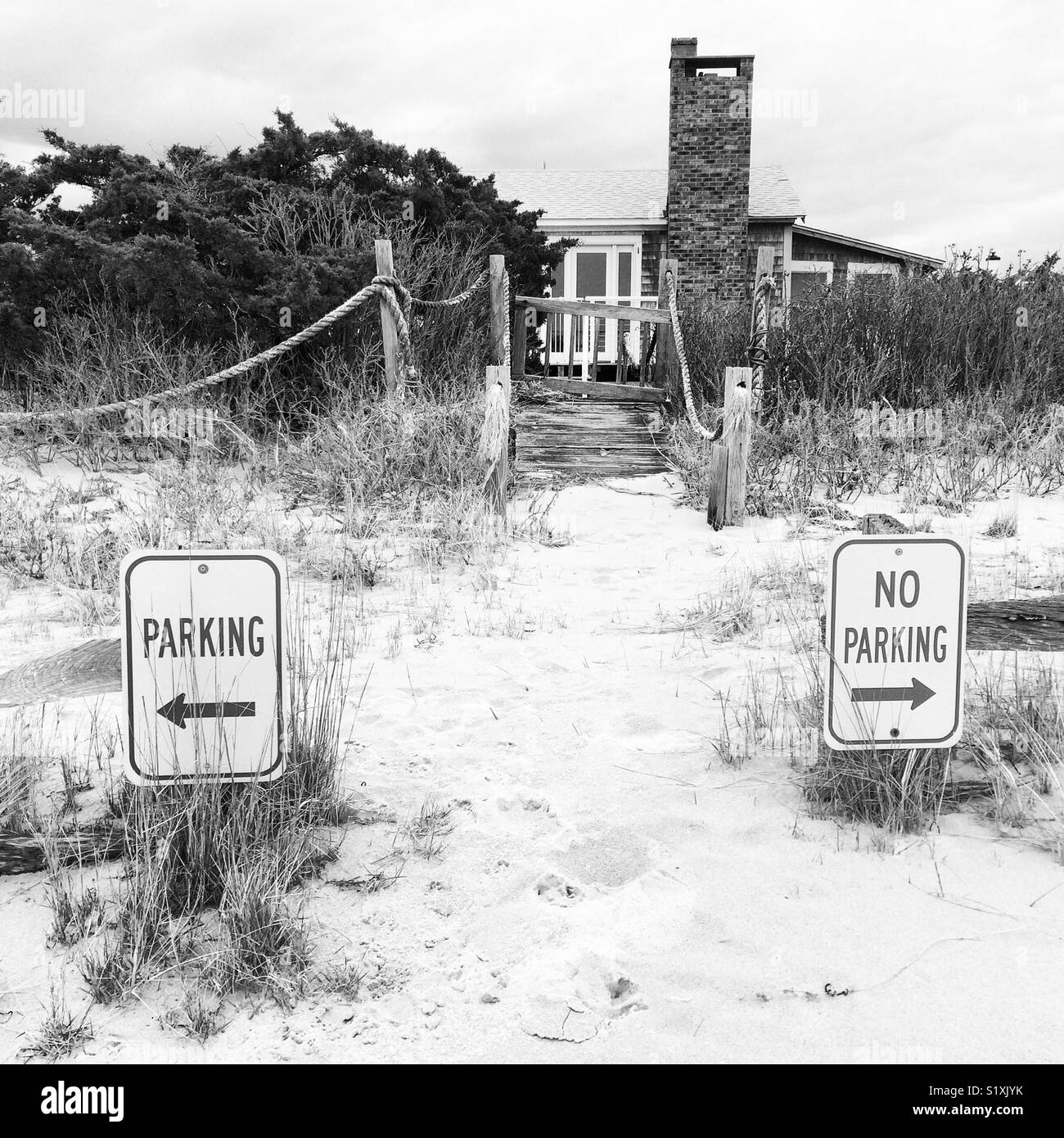Signs nearly buried in sand, old cottage in the background, Cape Cod ...