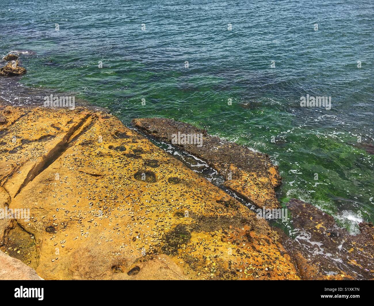 Shore shoreline beach ripples of water hi-res stock photography and ...
