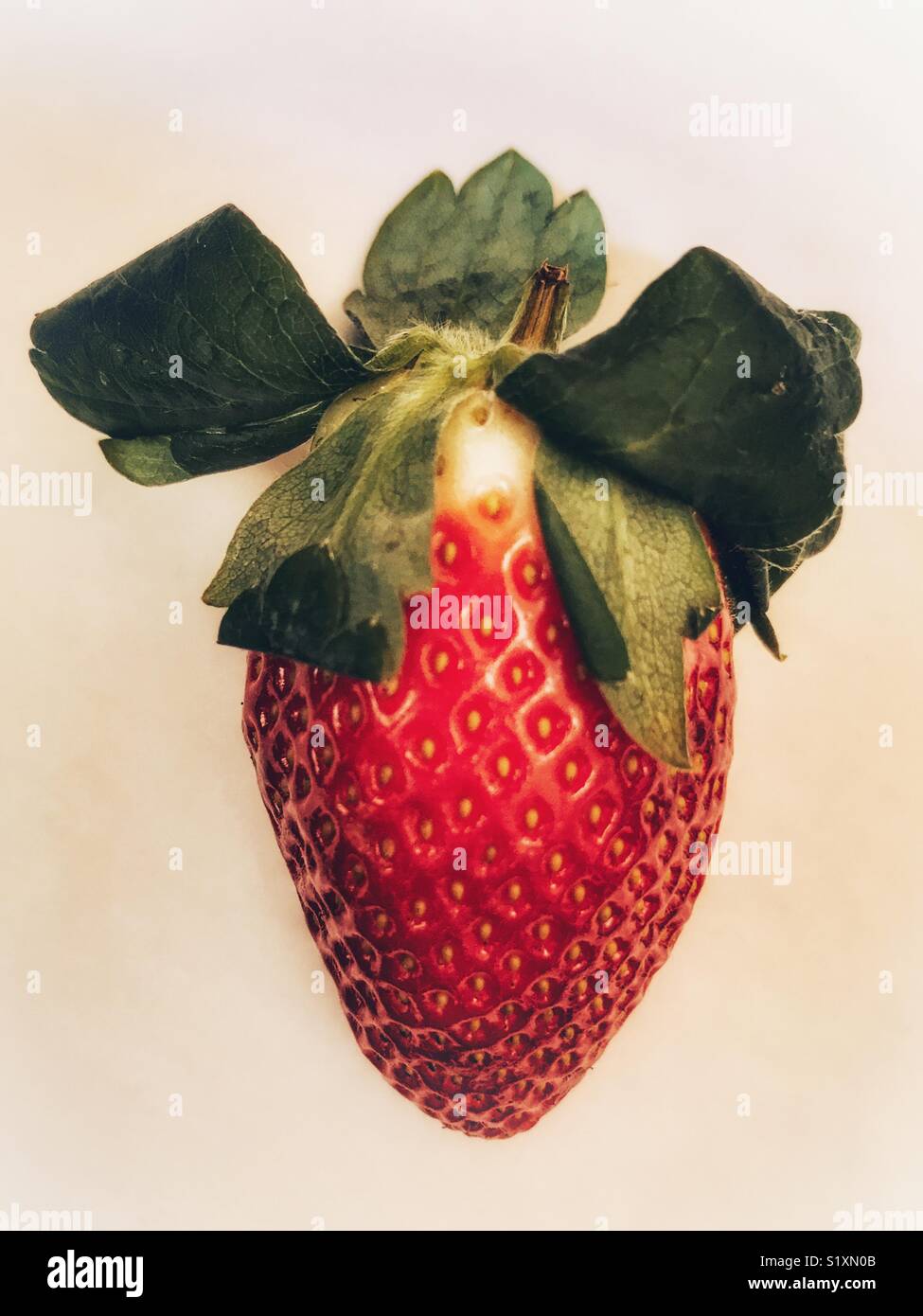 Picked strawberry hi-res stock photography and images - Alamy