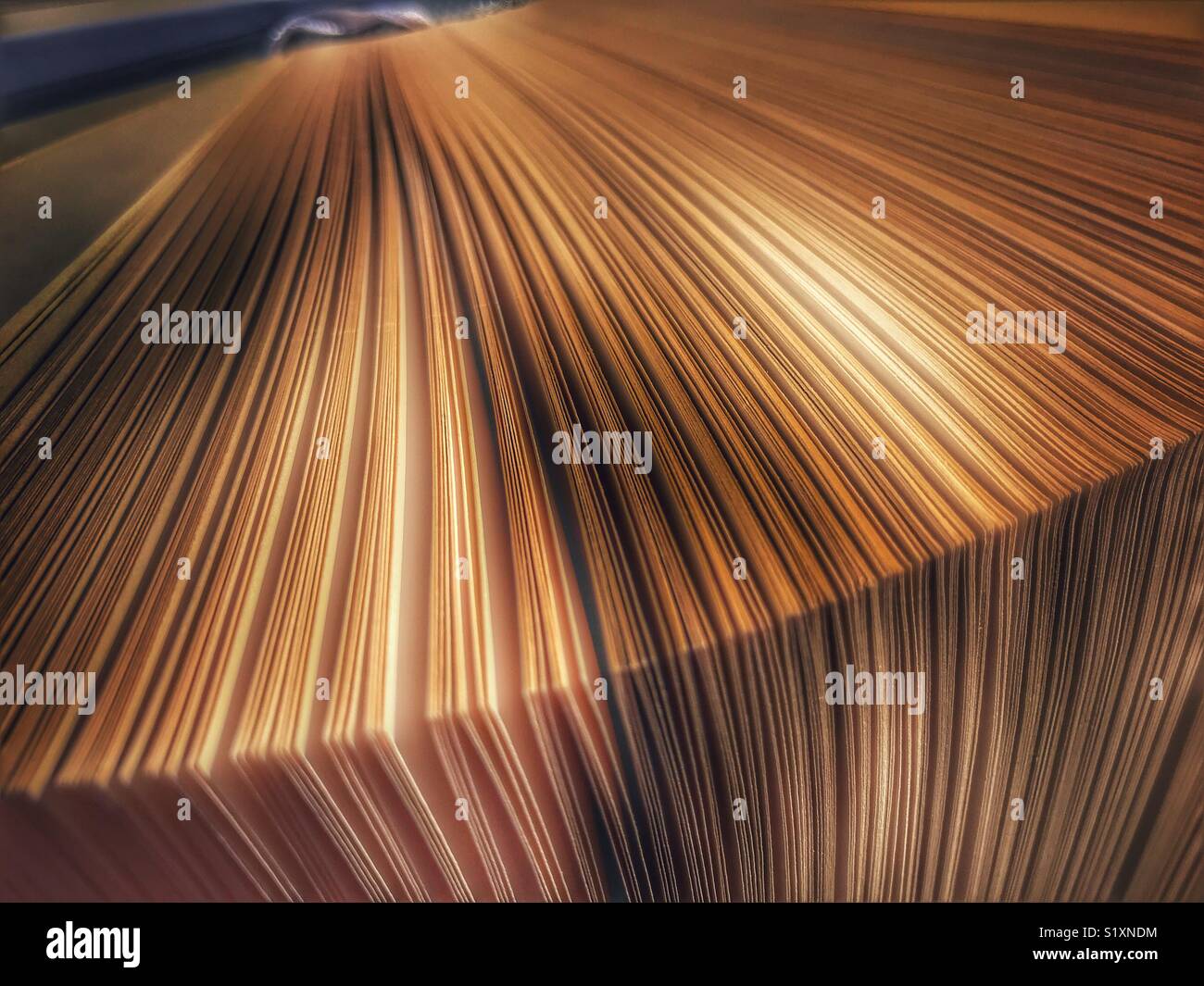 The pages of an open book - Smartphone Captured Stock Image