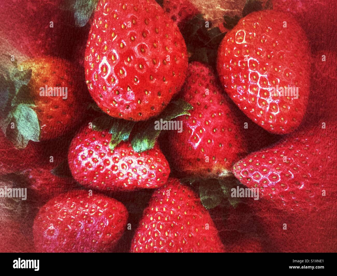 Strawberries - Smartphone Captured Stock Image