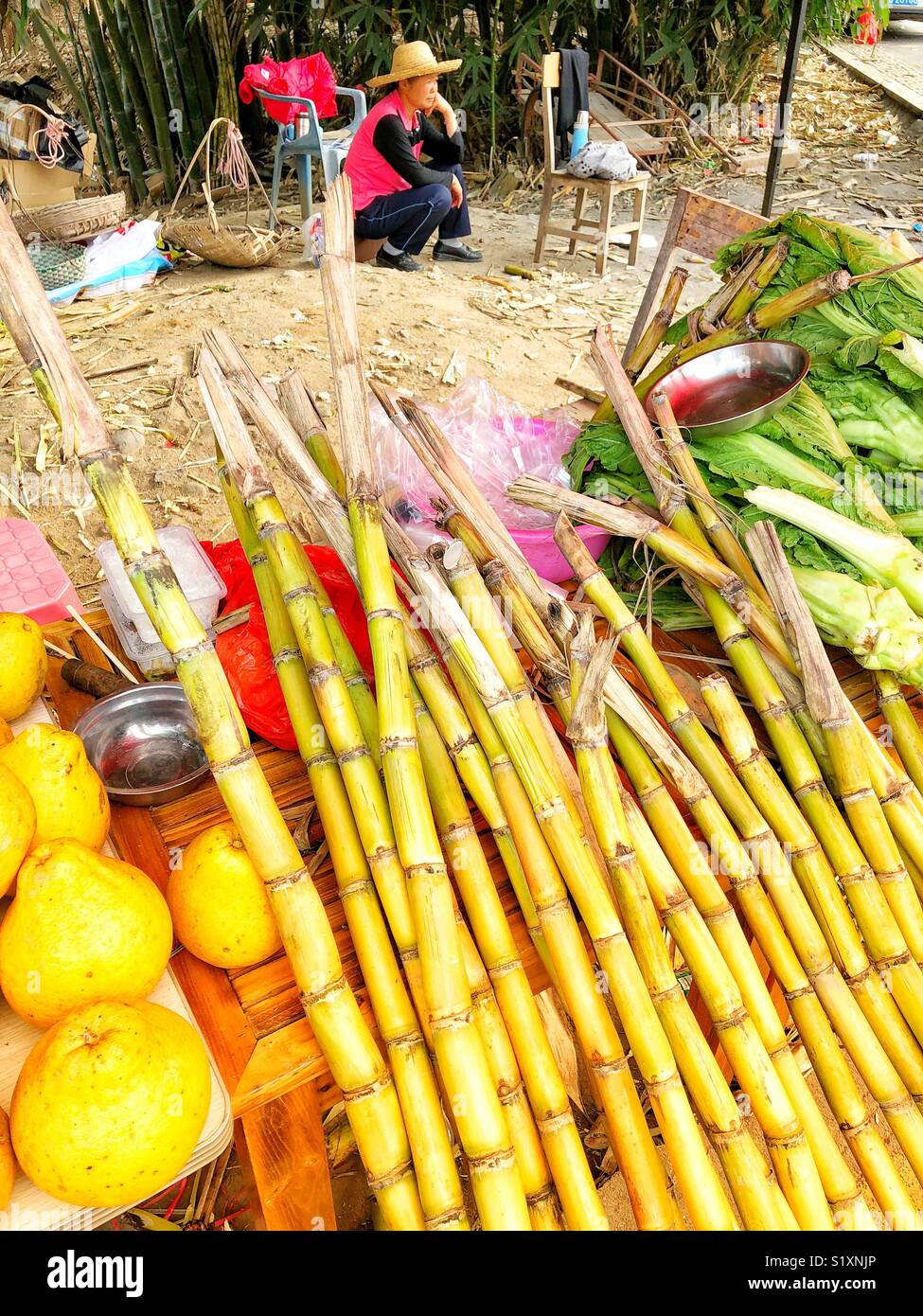 Sugar cane being sold at a market in China. - Smartphone Captured Stock Image