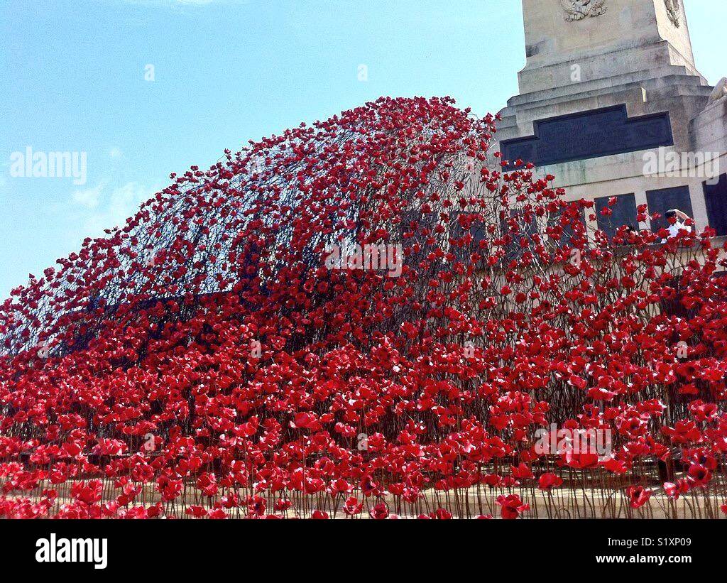 Poppies on Plymouth Hoe - Smartphone Captured Stock Image