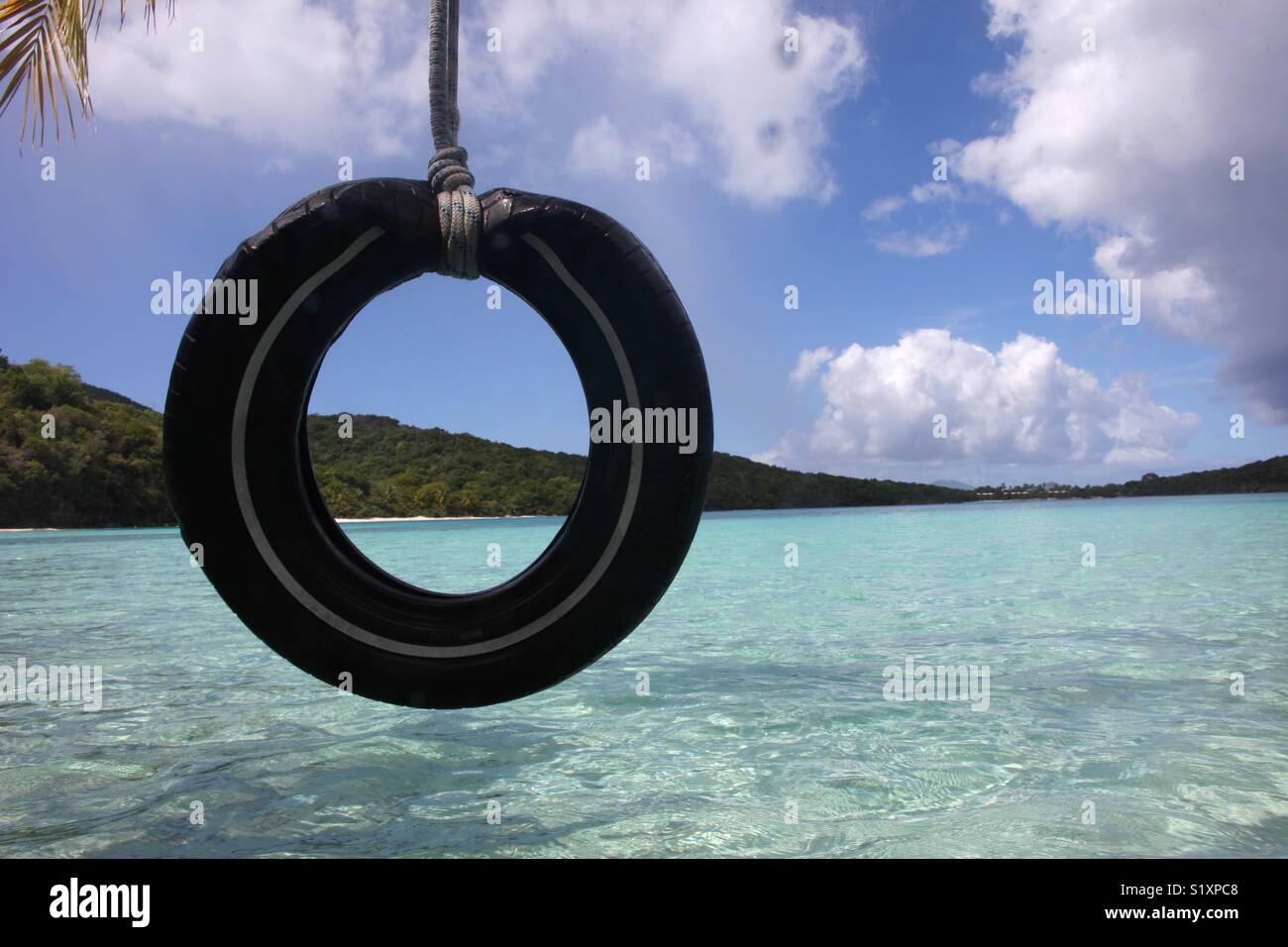 A tire swing hangs over the clear blue waters of the United States Virgin Islands. - Smartphone Captured Stock Image