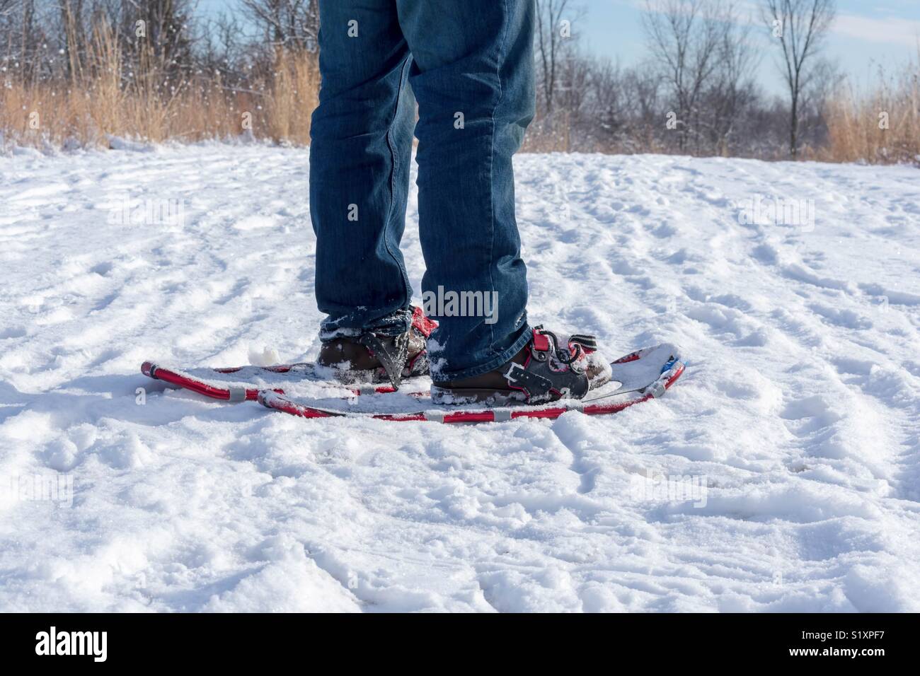 tubbs katahdin snowshoes