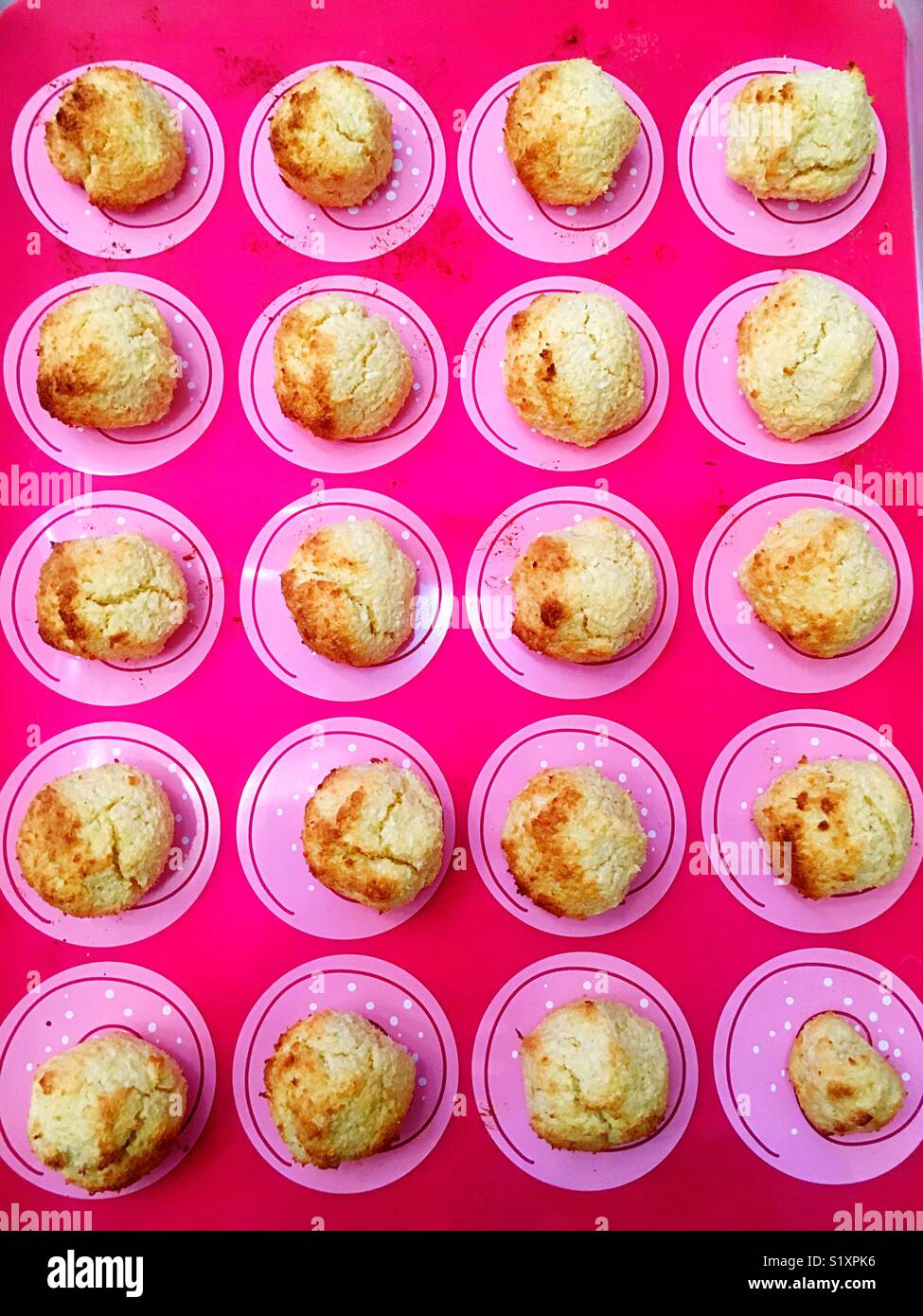 round cookies - Smartphone Captured Stock Image