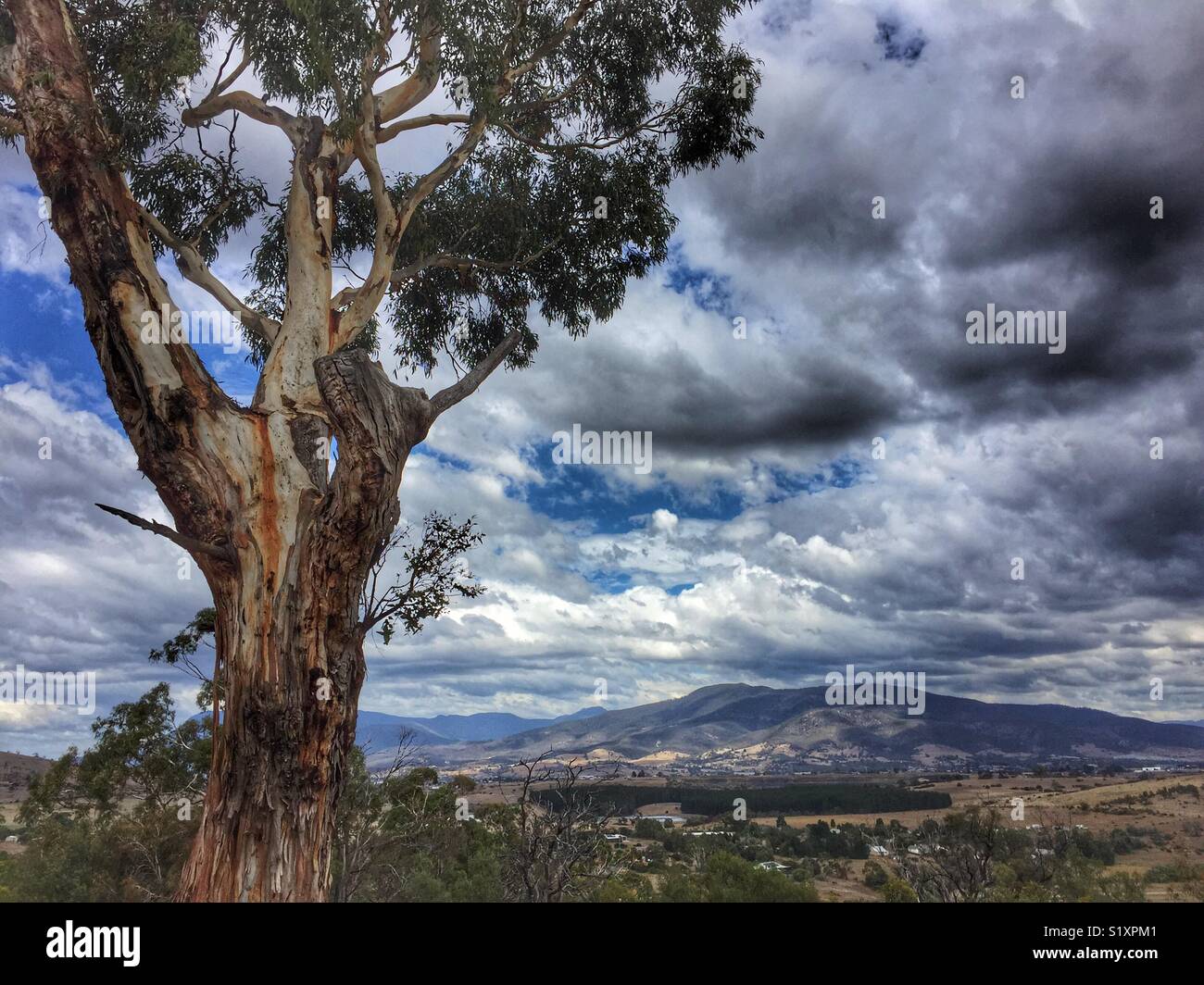 Tasmanian landscape - Smartphone Captured Stock Image