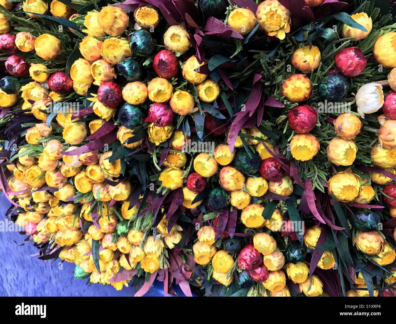 Dry flower bunch of dry flower bouquet, globe amaranth aka vada malli