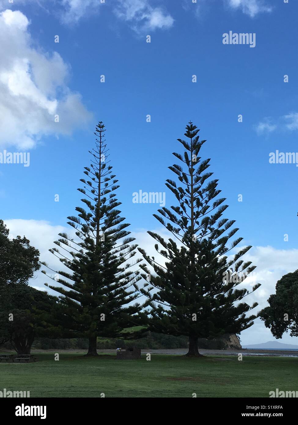 Shakespear Regional Park, New Zealand Stock Photo Alamy