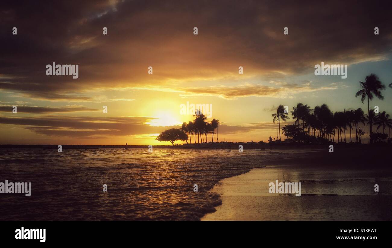 Tropical beach golden sunset with the silhouette of palm trees in the distance. Stock Photo