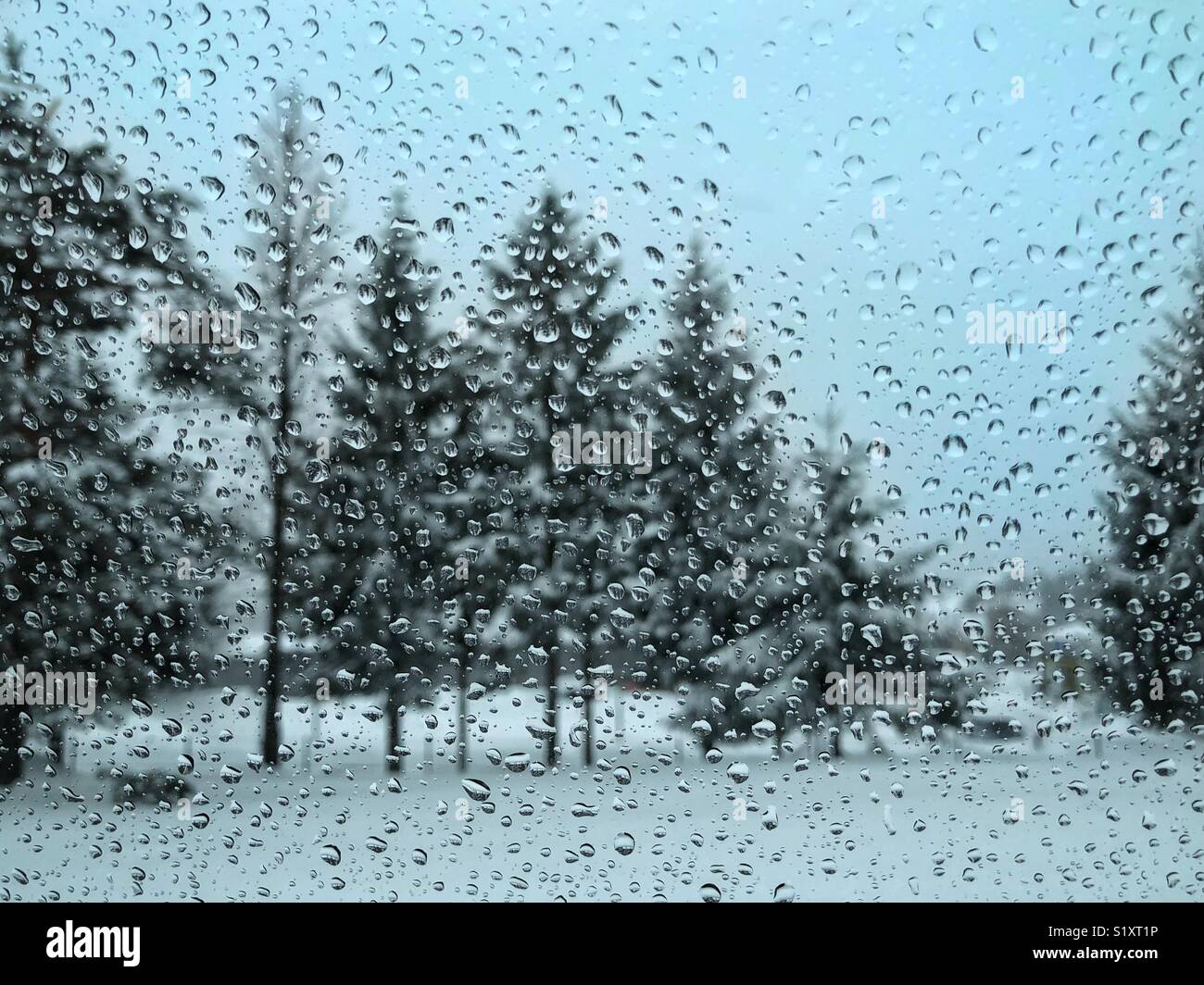 Car through rainy window hi-res stock photography and images - Alamy