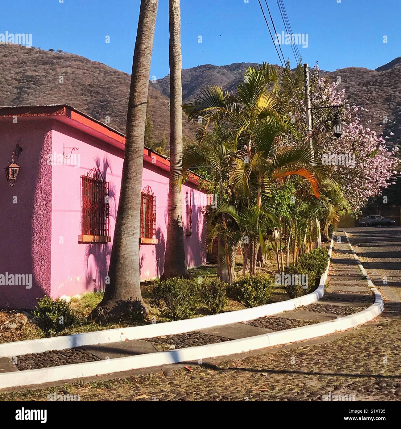 The morning is filled with pink color from the exterior paint on a home to the flowering tree down the street in an Ajijic neighborhood. Stock Photo