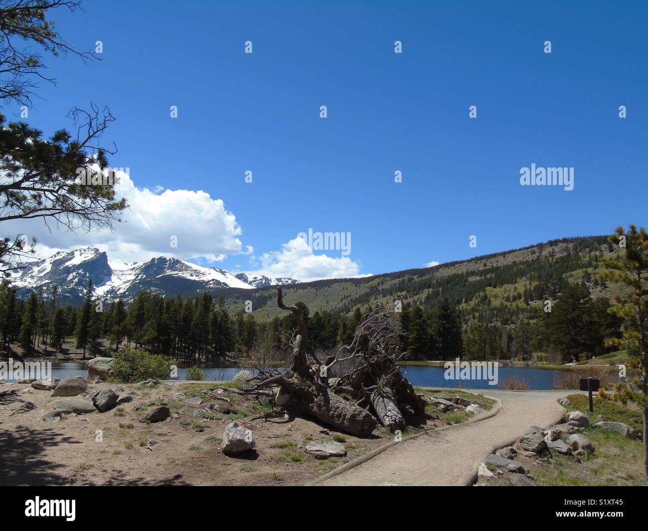Rocky Mountain national parc Stock Photo Alamy