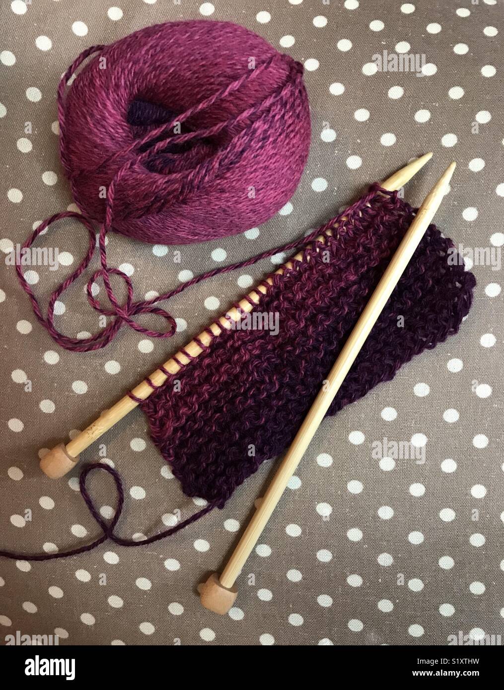 Starting to knit a raspberry colored wool scarf. Stock Photo