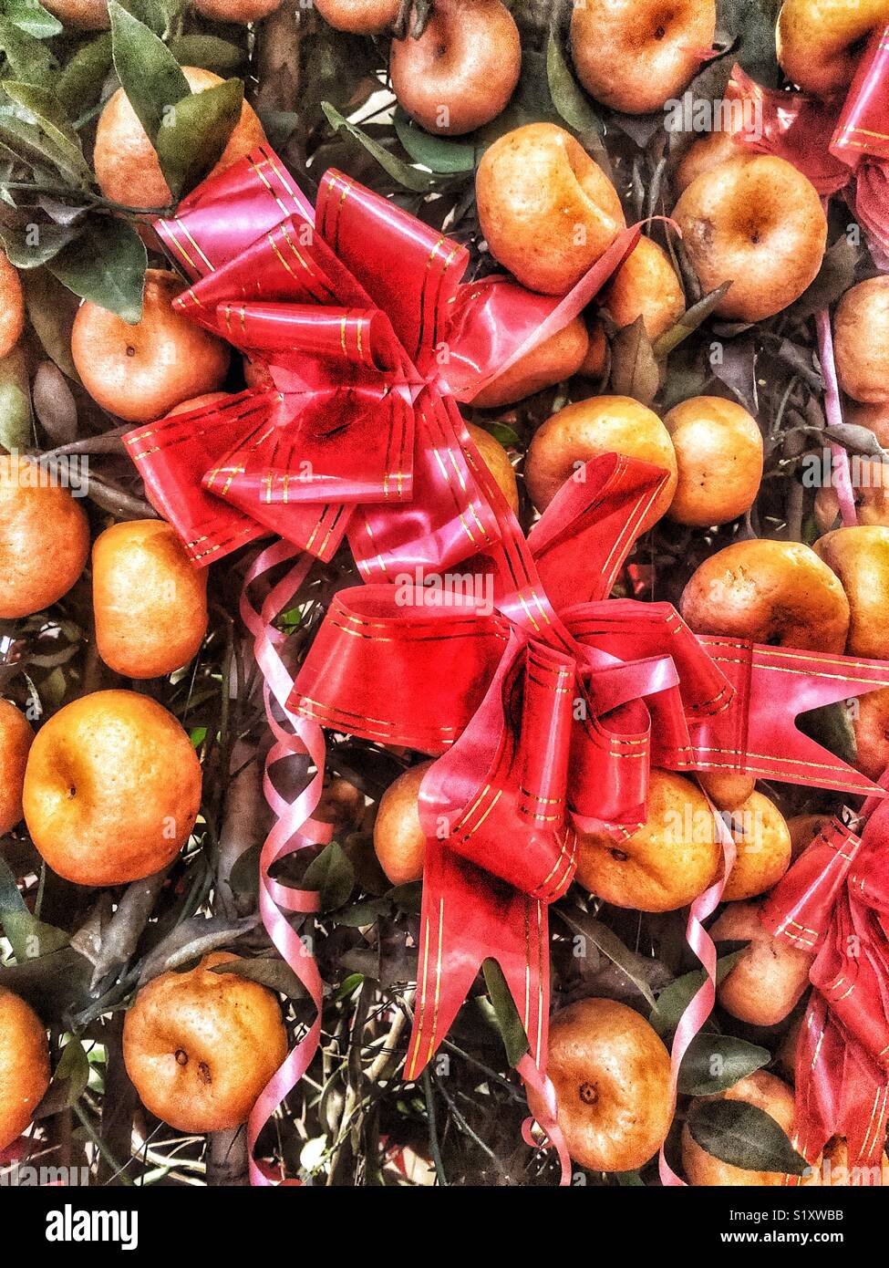 Red bows and citrus fruit for the Chinese New Year - Smartphone Captured Stock Image