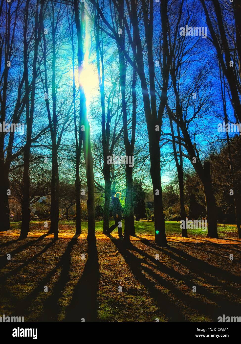 A woman walking along a path through trees. - Smartphone Captured Stock Image